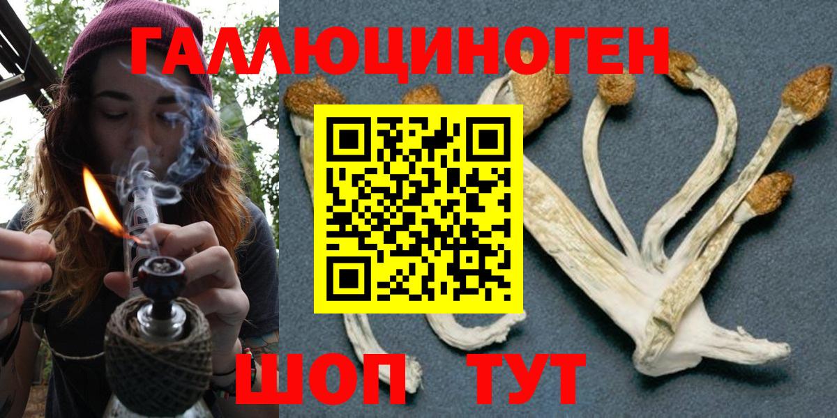 Зеленогорск  COCAIN  Вход с VPN  Alpha PVP СК   НБОМе  МЕФ   ГАШ  Экстази  МАРИХУАНА 