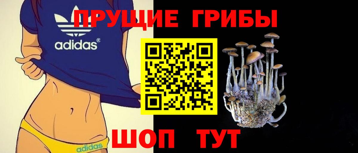 Галлюциногенные грибы GOLDEN TEACHER Зеленогорск